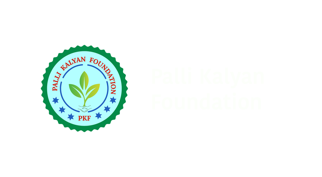footer pkf logo